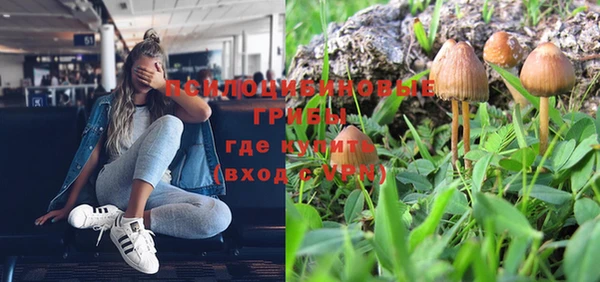 метадон Алексеевка