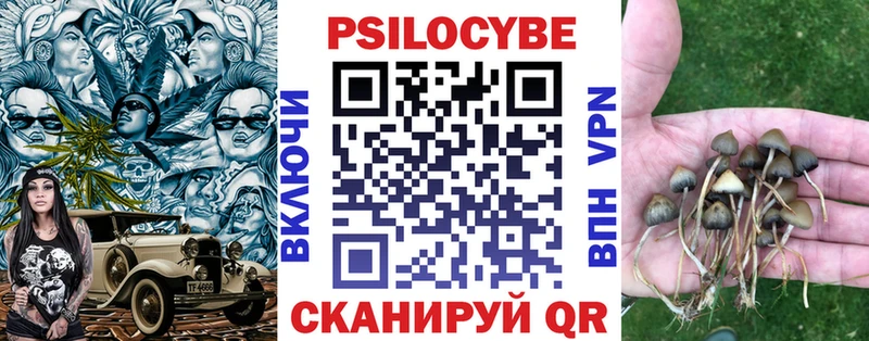 Галлюциногенные грибы Magic Shrooms  купить закладку  Камешково 